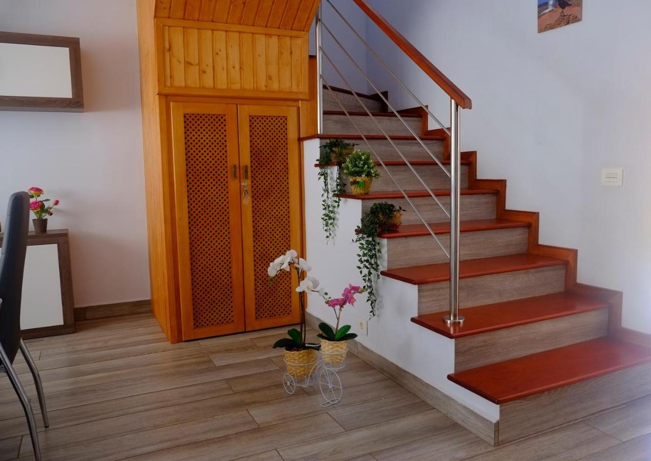 Duplex Belmaco - Casitas Las Abuelas 圣克鲁斯-德拉帕尔马 外观 照片
